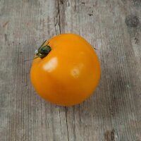 Buschtomate Ida Gold (Solanum lycopersicum) Samen