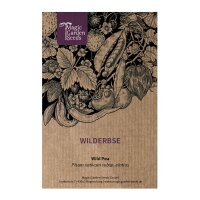Wilderbse (Pisum sativum subsp. elatius) Samen