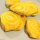 Gelbe Bete  Golden (Beta vulgaris) Samen
