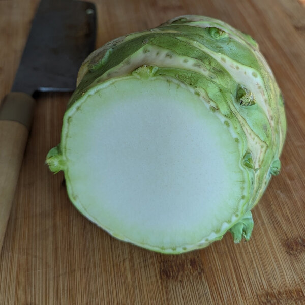 Kohlrabi Superschmelz (Brassica oleracea var. gongylodes) Bio Saatgut