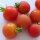 Frühe Freiland-Tomate Matina (Solanum lycopersicum) Bio Saatgut