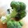 Brokkoli Calabrese (Brassica oleracea) Samen