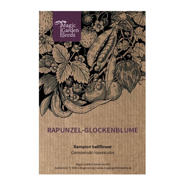 Rapunzel-Glockenblume (Campanula rapunculus) - ca. 500 Samen