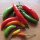 Chili Tabasco (Capsicum frutescens) Samen