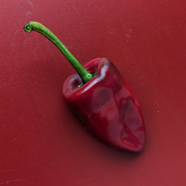 Poblano Chili Ancho San Luis (Capsicum annuum) Samen