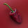 Poblano Chili Ancho San Luis (Capsicum annuum) Samen
