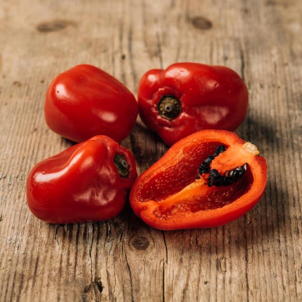 Baumchili Rocoto (Capsicum pubescens) Samen