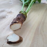 Tatarenkohl (Crambe tataria) Samen