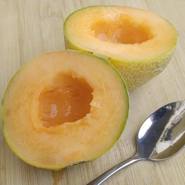 Melone Blenheim Orange (Cucumis melo) Samen