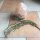 Sweetgrass / Mariengras (Hierochloe odorata) Samen