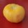 Pfirsich-Tomate Pêche Jaune (Solanum lycopersicum) Bio Saatgut