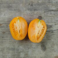 Tomate Orange Banana (Solanum lycopersicum) Bio Saatgut