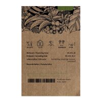 Tabak Badischer Geudertheimer (Nicotiana tabacum) Samen