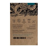 Echter Beinwell (Symphytum officinale) Samen