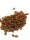 Bockshornklee (Trigonella foenum-graecum) Samen