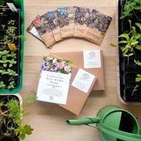 Fräulein Grün – Bio-Samen Set Bienenpflanzen & Heilkräuter