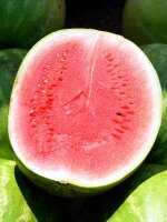 Wassermelone Crimson Sweet (Citrullus lanatus)
