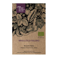 Broccolo Fiolaro (Brassica oleracea var. Italica) Bio...