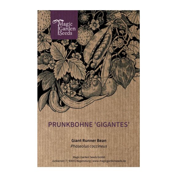 Griechische Riesenbohnen 'Gigantes' (Phaseolus coccineus) Samen