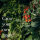 Tomaten & Friends - 10 samenfeste Tomaten- und Kräutersorten - bunt & köstlich - Einsteiger-Saatgutset