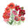 Sommerblumen in Rot (diverse Arten & Sorten) Saatgutmix