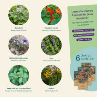 Essbare Blüten: Kulinarische Blütenfreude für Salat, Dessert & Augenschmaus – Samenset Nr. 12