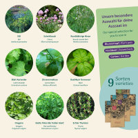 Topf-Kräuter: Dein Mini-Kräutergarten für...