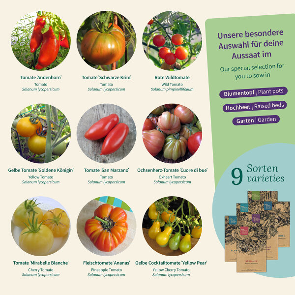 Tomaten Raritten: Historische Sorten, selten & bewhrt - Samenset Nr. 18