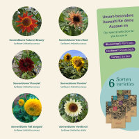 Sonnenblumen: Bunte Sorten einfach aussäen -...