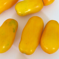 Gelbe Buschtomate Banana Legs (Solanum lycopersicum) Samen