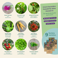 Samen Raritäten für deinen Garten- Samenset Nr. 2