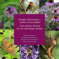 Blumen Nostalgie wie aus Großmutters Garten - Samenset Nr. 5