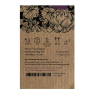 Abessinischer Kohl (Brassica carinata) Samen