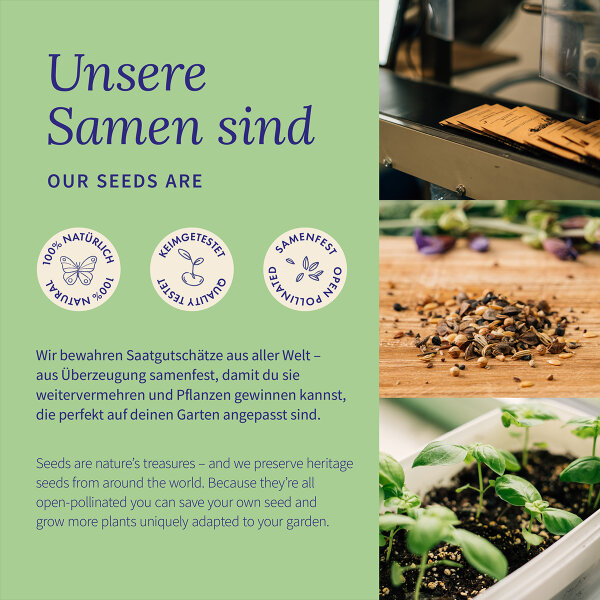 Kraft Pflanzen - Traditionelle Kräuter für Lebenskraft und Erneuerung - Samenset Nr. 39