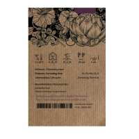 Brokkoli Limba (Brassica oleracea var. italica) Bio-Saatgut