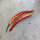 Koreanischer Chili Taeyang Medium (Capsicum annuum) Bio-Saatgut