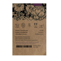 Paprika Sweet Chocolate (Capsicum annuum) Samen