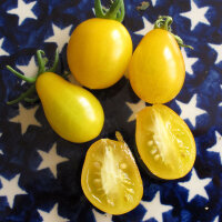 Tomate Dattelwein (Solanum lycopersicum) Samen