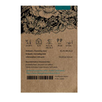 Apricofarbene Ringelblume Touch of Red Buff (Calendula officinalis) Samen