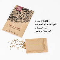 Apricofarbene Ringelblume Touch of Red Buff (Calendula officinalis) Samen