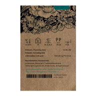 Pannonischer Salbei (Salvia austriaca) Samen