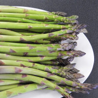 Violetter Spargel Argenteuil (Asparagus officinalis)...