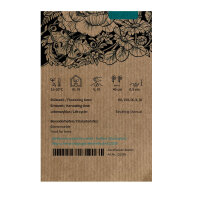 Weiße Cosmea / Schmuckkörbchen Sensation Purity (Cosmos bipinnatus) Samen