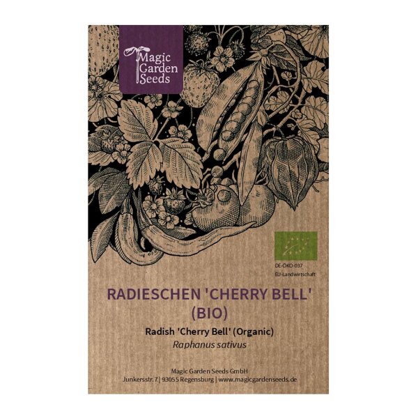 Radieschen 'Cherry Bell' (Raphanus sativus) Bio Saatgut