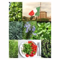 Würzkräuter für die italienische Küche - Samen-Geschenkset