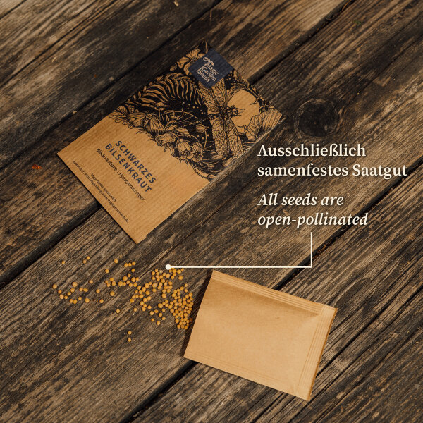 Alte historische Gemsesorten (Bio) - Samen-Geschenkset