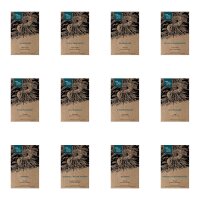 Mitteleuropäische Heilpflanzen - Samen-Geschenkset