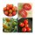 Besondere alte Tomatensorten - Samen-Geschenkset
