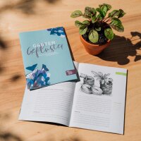 Chinesische Heilkräuter der TCM - Samen-Geschenkset