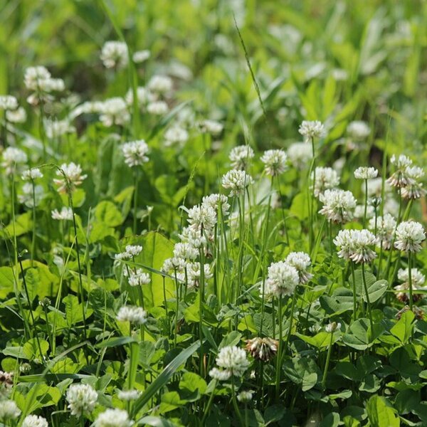 künstlicher frühlingsstrauß Künstlicher Blumenstrauß Herbstzauber 60 cm Premium handgebunden wie echt
